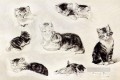 A Study Of Cats Drinking Sleeping And Playing Henriette Ronner Knip